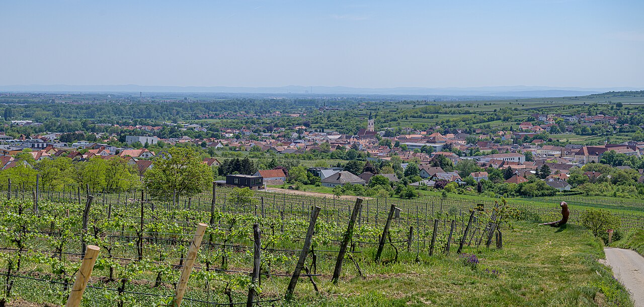 LOISIUM Wine & Spa Hotel Langenlois