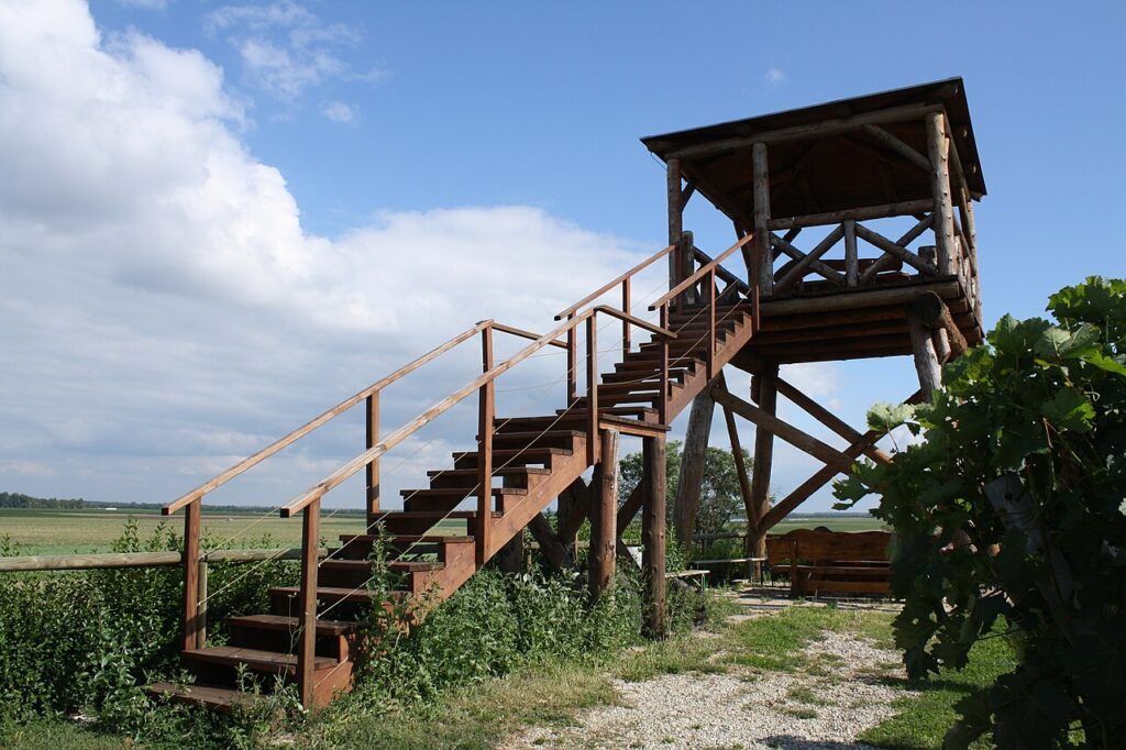 Scheiblhofer THE RESORT